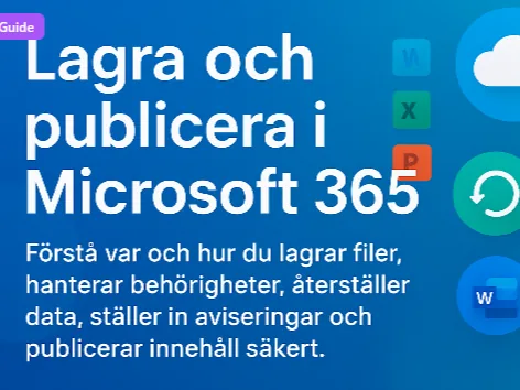 En kort guide i EverGrow om att lagra och publicera i Microsoft 365